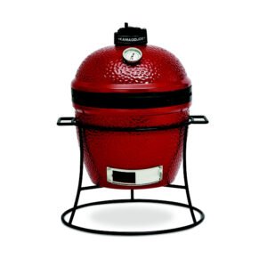 kamado joe junior